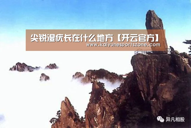 尖锐湿疣长在什么地方【开云官方】(图4) 开云下载