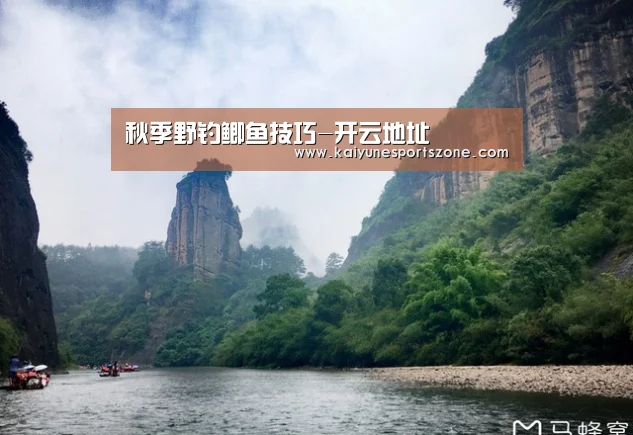 开云下载