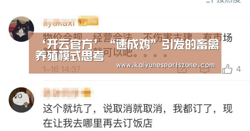 ‘开云官方’“速成鸡”引发的畜禽养殖模式思考(图1) 开云官方