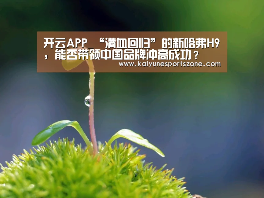 开云APP_“满血回归”的新哈弗H9,能否带领中国品牌冲高成功?(图3) 开云APP