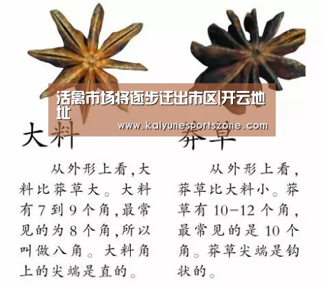 活禽市场将逐步迁出市区|开云地址(图3) 开云官方