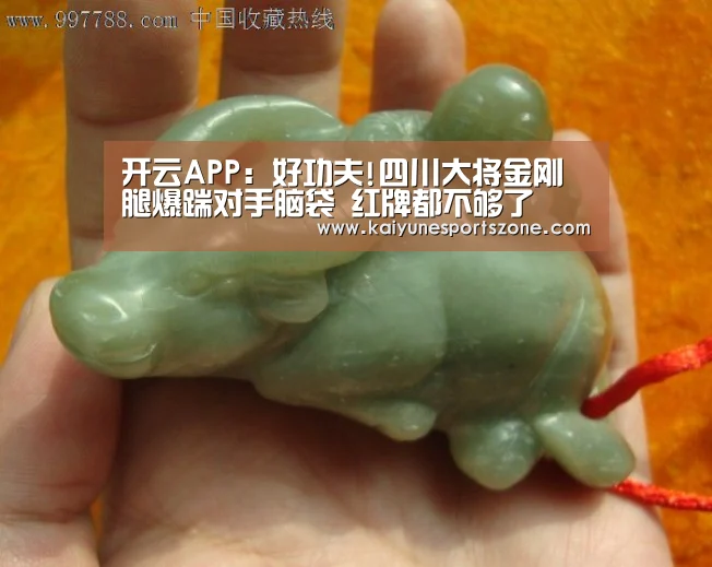 开云APP:好功夫!四川大将金刚腿爆踹对手脑袋 红牌都不够了(图4) 开云官方
