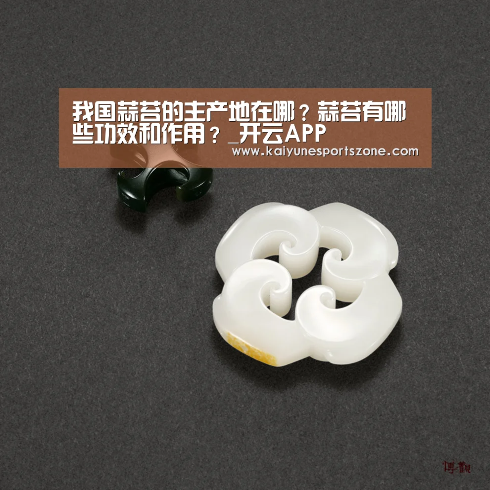 开云APP