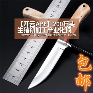 开云官方