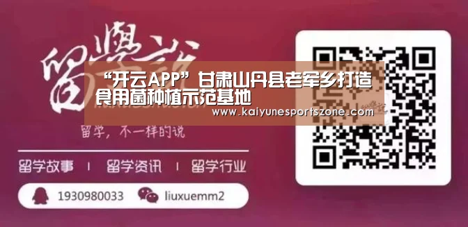开云下载