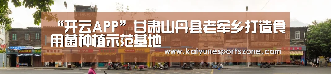 开云APP