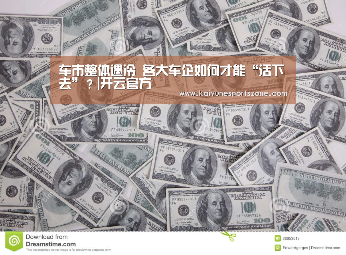 车市整体遇冷 各大车企如何才能“活下去”?|开云官方(图4) 开云官方
