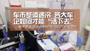 车市整体遇冷 各大车企如何才能“活下去”?|开云官方(图2) 开云地址
