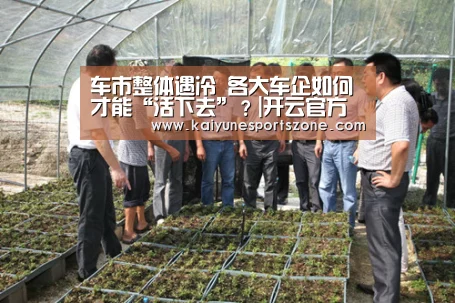 车市整体遇冷 各大车企如何才能“活下去”?|开云官方(图3) 开云官方