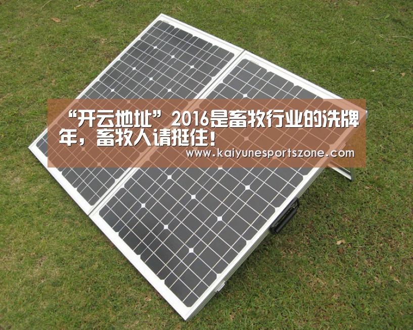 “开云地址”2016是畜牧行业的洗牌年,畜牧人请挺住!(图4) 开云地址