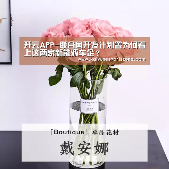 开云APP-联合国开发计划署为何看上这两家新能源车企?(图2) 开云官方
