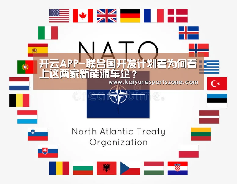 开云APP-联合国开发计划署为何看上这两家新能源车企?(图1) 开云官方