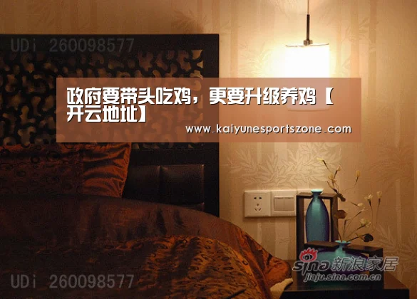 政府要带头吃鸡,更要升级养鸡【开云地址】(图4) 开云下载