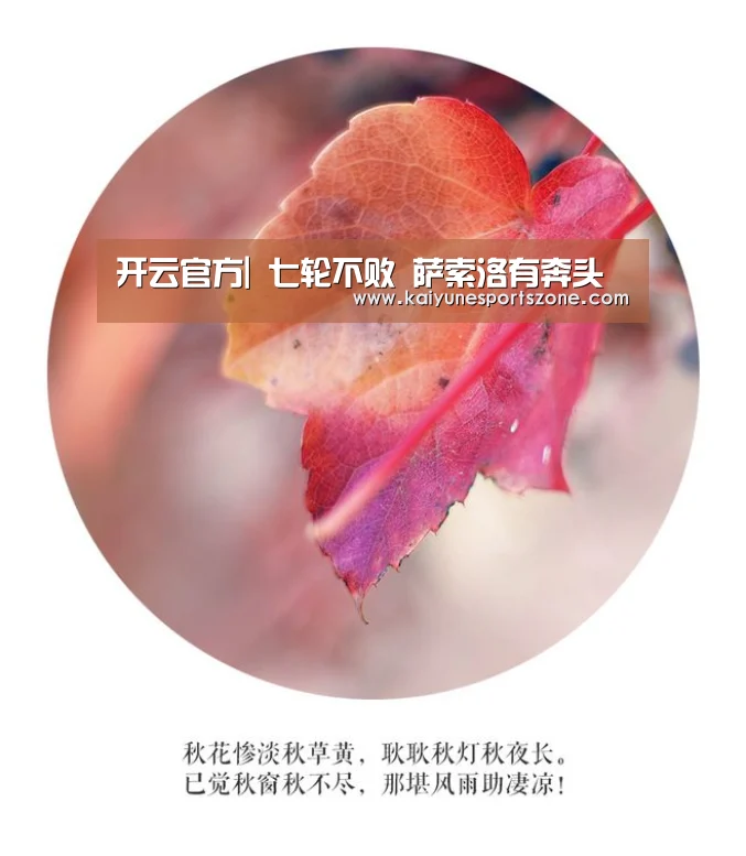 开云APP