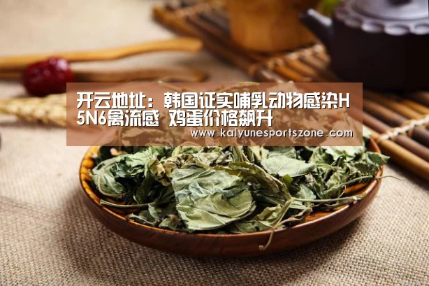 开云地址