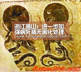 浙江萧山:进一步加强病死猪无害化处理监管工作_开云APP(图3) 开云地址
